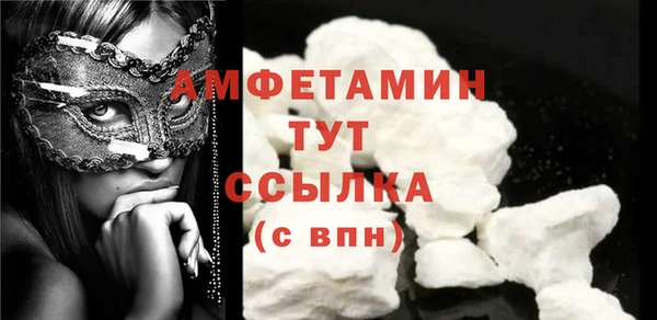дмт Богданович