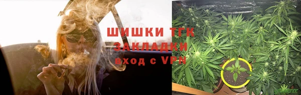 тгк Богородицк