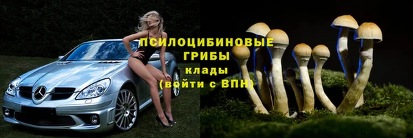 дмт Богданович