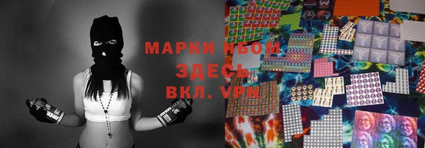 дмт Богданович
