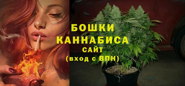 тгк Богородицк