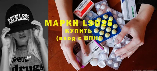 дмт Богданович