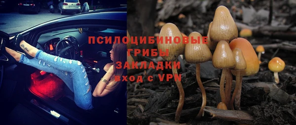 дмт Богданович