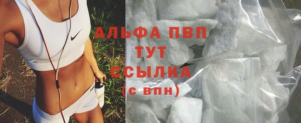 дмт Богданович