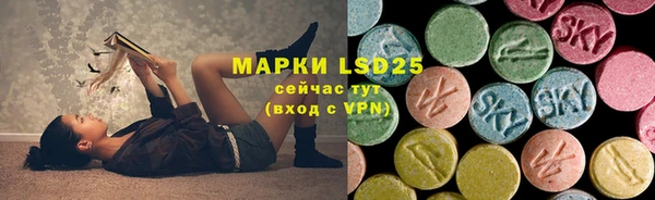 дмт Богданович