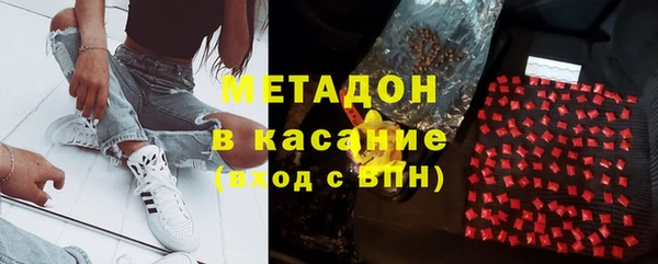 дмт Богданович