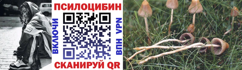 Псилоцибиновые грибы мицелий  Горняк 